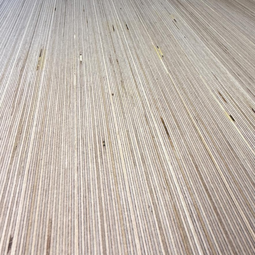 Birch Table Top